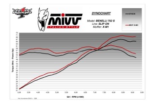 Silencieux MIVV X-M1