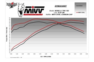 Silencieux MIVV Oval