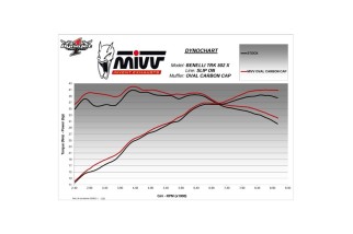 Silencieux MIVV Oval