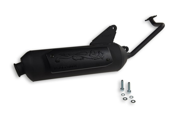 Pot d'échappement MALOSSI Wild Lion