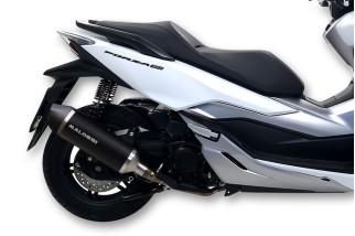 Pot d'échappement MALOSSI RX