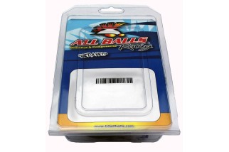 Kit roulements de bras oscillant ALL BALLS