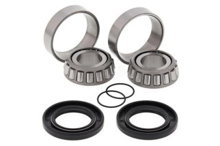 Kit roulements de bras oscillant ALL BALLS Yamaha/BMW