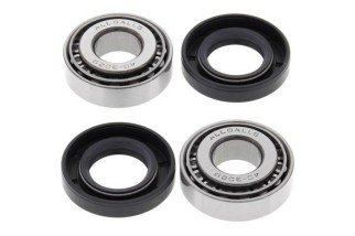 Kit roulements de bras oscillant ALL BALLS Honda