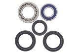 Kit roulements de roue arrière ALL BALLS Yamaha YFM