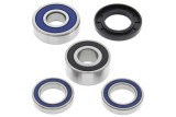 Kit roulements de roue arrière ALL BALLS Honda VTX1300/1800