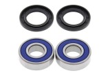 Kit roulements de roue arrière ALL BALLS Yamaha FZ8/MT-09