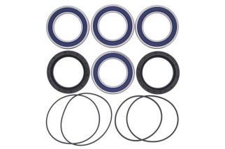 Kit roulements de roue arrière ALL BALLS Yamaha YFZ450R/YFM700R Raptor