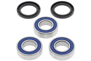 Kit roulements de roue arrière ALL BALLS Suzuki RM125/250