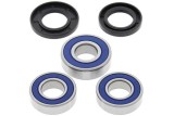 Kit roulements de roue arrière ALL BALLS Suzuki DR350R/DR350SE