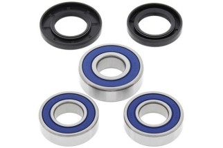 Kit roulements de roue arrière ALL BALLS Suzuki DR350R/DR350SE