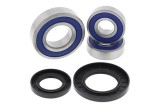 Kit roulements de roue arrière ALL BALLS Suzuki DL650/1000 V-Strom