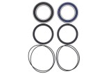 Kit roulements de roue ALL BALLS
