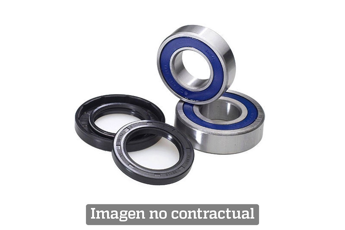 Rear Wheel Bearing Kit All Balls 25-1703