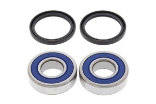 Kit roulements de roue arrière ALL BALLS TM