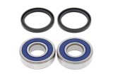 Kit roulements de roue arrière ALL BALLS TM