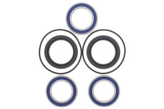 Kit roulements de roue arrière ALL BALLS Kawasaki KFX450R