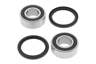 Kit roulements de roue arrière ALL BALLS TM