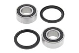Kit roulements de roue arrière ALL BALLS TM