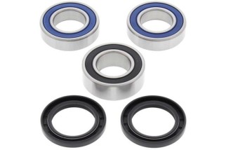 Kit roulements de roue arrière ALL BALLS Sherco