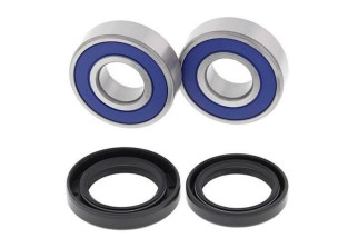 Kit roulements de roue avant ALL BALLS Kawasaki ZZR1100