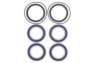 Kit roulements de roue arrière ALL BALLS Suzuki LT-R450