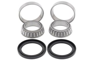 Kit roulements de roue arrière ALL BALLS Polaris