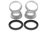 Kit roulements de roue arrière ALL BALLS Polaris