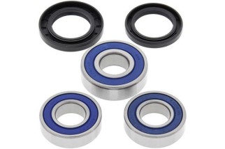 Kit roulements de roue arrière ALL BALLS Suzuki DR-Z400/E/S/SM