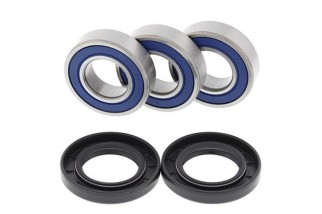 Kit roulements de roue arrière ALL BALLS Yamaha TT-R250