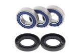 Kit roulements de roue arrière ALL BALLS Yamaha TT-R250