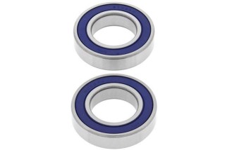 Kit roulements de roue arrière ALL BALLS Buell