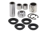 Kit reconditionnement de triangle supérieur/inférieur ALL BALLS Kawasaki