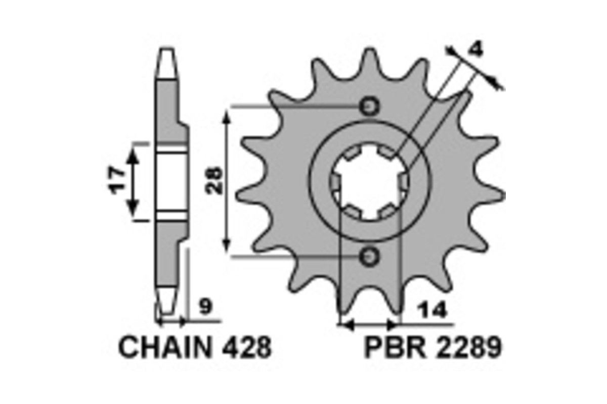 Pignon PBR acier standard 2289 - 428