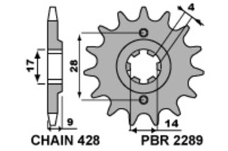 Pignon PBR acier standard 2289 - 428