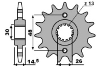 Pignon PBR acier standard 2047 - 525