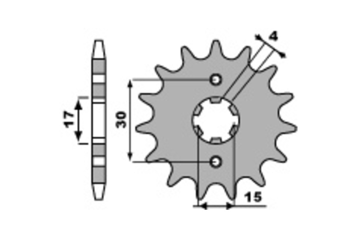 Pignon PBR acier standard 274 - 428