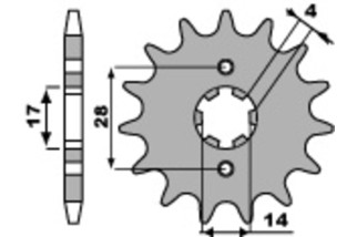 Pignon PBR acier standard 2107 - 420