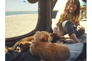 Niche gonflable pour chiens Dometic K9 80 AIR | Dometic - Achat en ligne