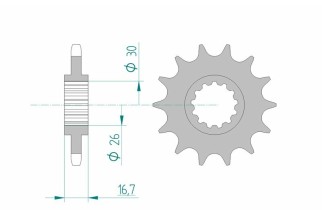 Pignon AFAM acier standard 20612 - 525
