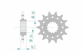 Pignon AFAM acier standard 20608 - 520
