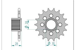 Pignon AFAM acier standard 37601 - 525