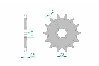 Pignon AFAM acier standard 20204 - 520