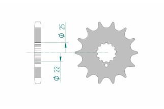 Pignon AFAM acier standard 24504 - 530