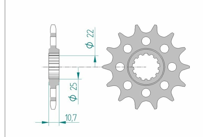 Pignon AFAM acier standard 21511 - 520