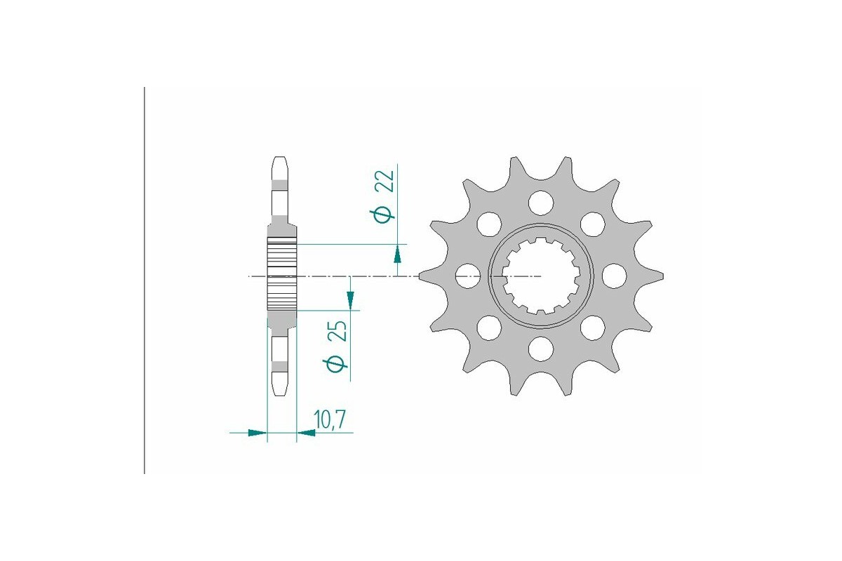 Pignon AFAM acier standard 21511 - 520