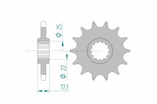 Pignon AFAM acier standard 20405 - 525