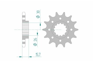 Pignon AFAM acier standard 20605 - 525