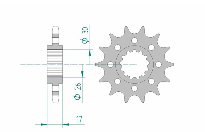 Pignon AFAM acier standard 20615 - 525