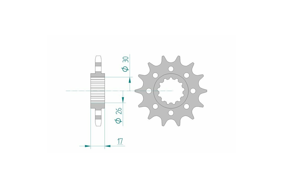 Pignon AFAM acier standard 20615 - 525